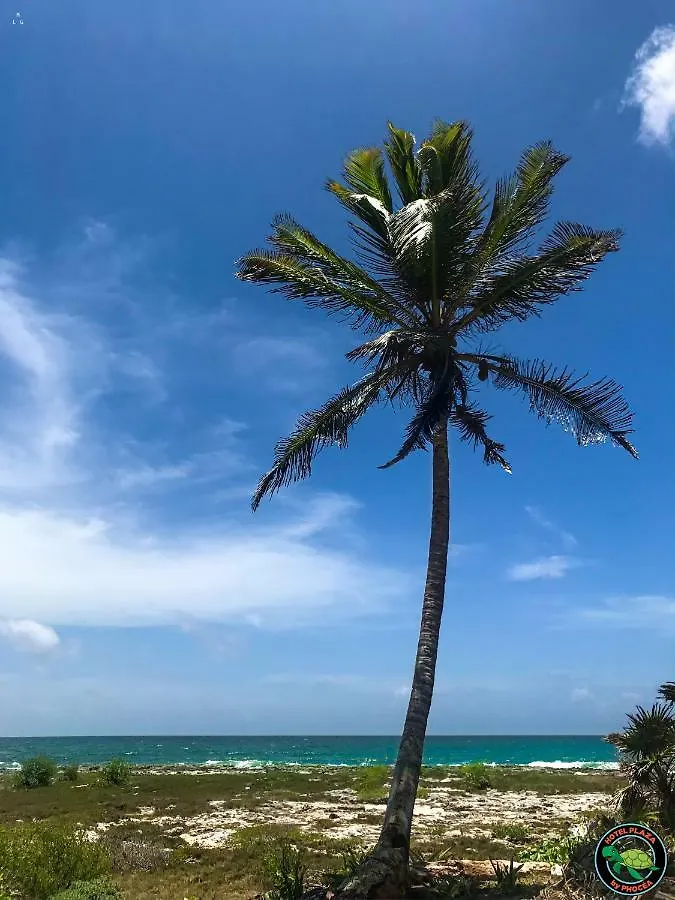 Hotel Plaza Phocea Playa del Carmen