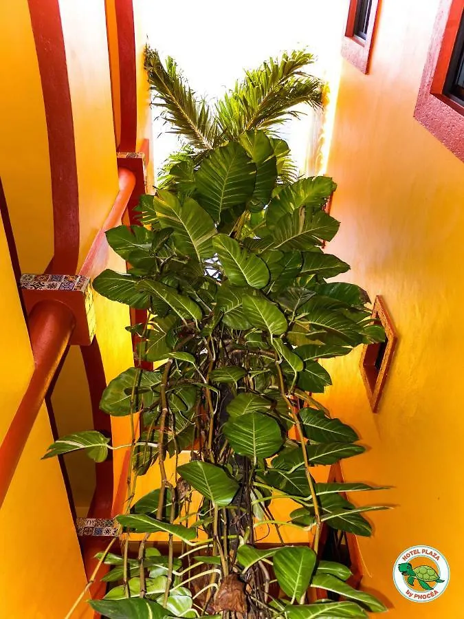 Hotel Plaza Phocea Playa del Carmen